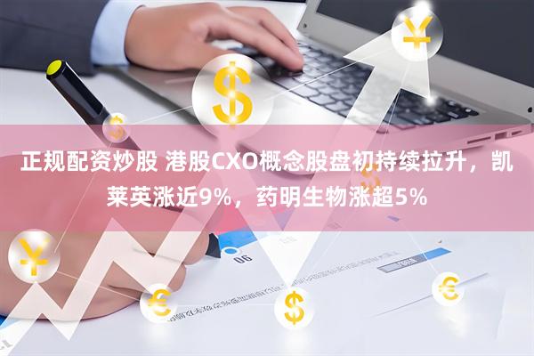 正规配资炒股 港股CXO概念股盘初持续拉升，凯莱英涨近9%，药明生物涨超5%