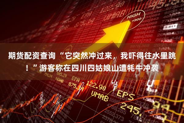 期货配资查询 “它突然冲过来，我吓得往水里跳！”游客称在四川四姑娘山遭牦牛冲袭
